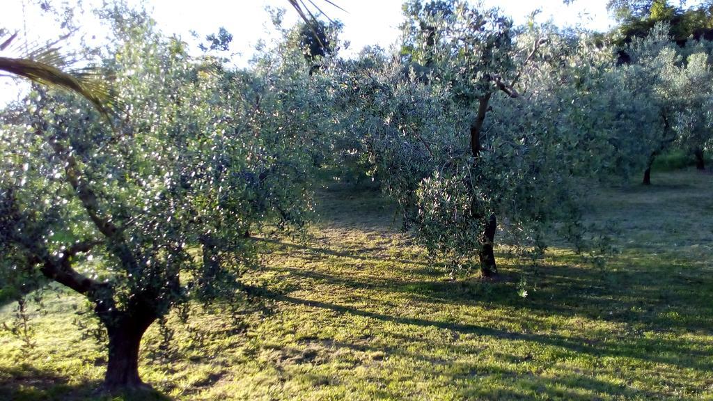 Bigotti Bed and Breakfast Fano Buitenkant foto
