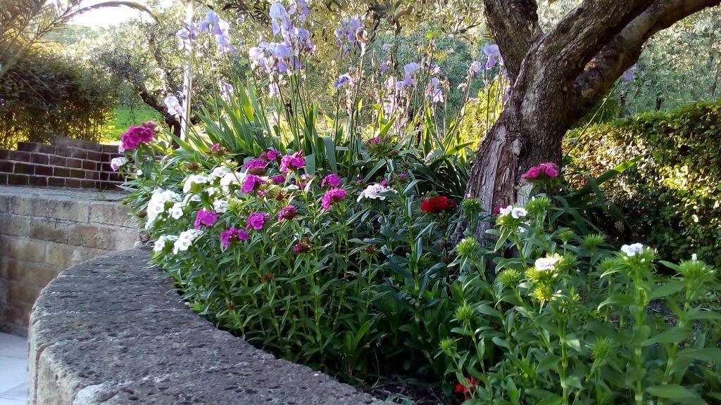 Bigotti Bed and Breakfast Fano Buitenkant foto